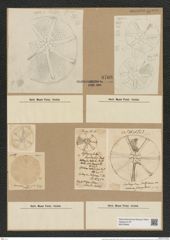 Asteromphalus hepactis (Breb.) Ralfs. (de-Toni-Nr.: Genus 236, Species 5701) Zeichnungen Sammlung Grunow Nr. 9708 (NHMW-BOT-W0379649)